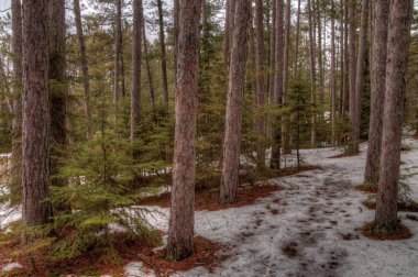 Amnicon State Park, Wisconsin kış aylarında