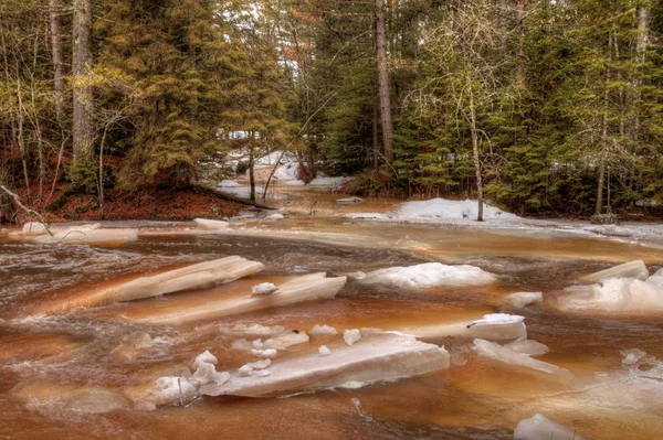 Amnicon State Park, Wisconsin durante o inverno — Fotografia de Stock