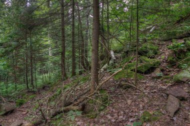 Amnicon State Park, Wisconsin kış aylarında