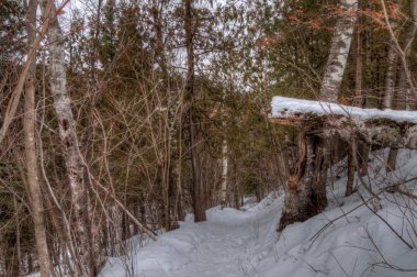 Chester Park Kış aylarında Duluth, Minnesota bir City Park