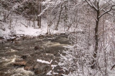 Chester Park Kış aylarında Duluth, Minnesota bir City Park