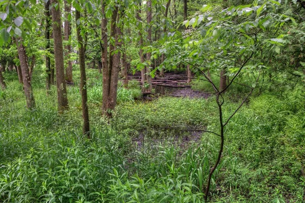 Harrington Beach adalah sebuah taman negara bagian Wisconsin di Danau Michigan n — Stok Foto