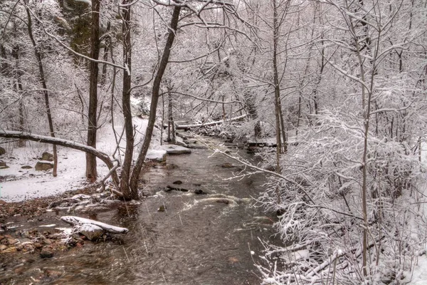 Chester Park é um parque da cidade de Duluth, Minnesota, durante o inverno — Fotografia de Stock