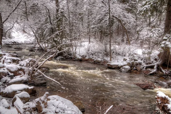 Chester Park é um parque da cidade de Duluth, Minnesota, durante o inverno — Fotografia de Stock