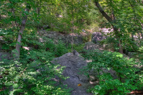 Interstate State Park est situé sur la rivière Sainte-Croix par Taylor Falls, Minnesota — Photo