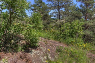 Hawk Ridge, Duluth, Minnesota