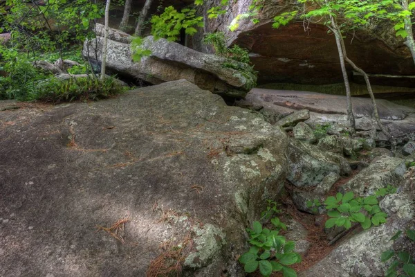 Banning State Park in Minnesota — Stock Photo, Image