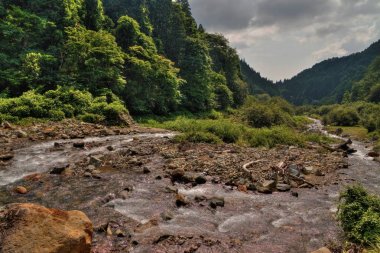 Jigokudani maymun Park Ja'da maymun görmek için harika bir yerdir