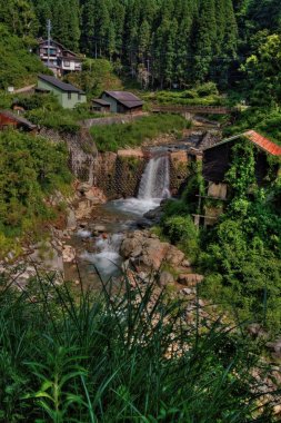 Jigokudani maymun Park Ja'da maymun görmek için harika bir yerdir