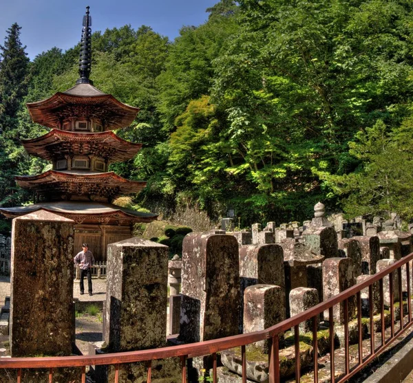 Ryukoin Temple у японському місті Уеда в Nara Pree — стокове фото