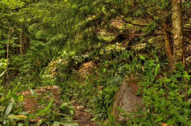 Mt. Eboshidake Nagano ili Japon Alpleri'nde parçasıdır ve 2066 metre boyunda