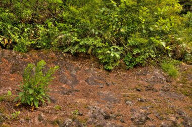 Mt. Eboshidake Nagano ili Japon Alpleri'nde parçasıdır ve 2066 metre boyunda