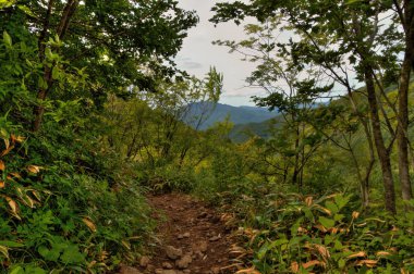 Mt. Eboshidake Nagano ili Japon Alpleri'nde parçasıdır ve 2066 metre boyunda