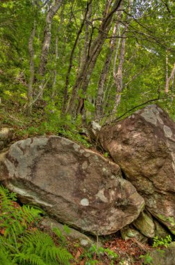 Mt. Eboshidake Nagano ili Japon Alpleri'nde parçasıdır ve 2066 metre boyunda