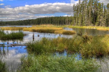 Beyaz Lake Provincial Park Mobert ve White River yakınında bulunan bir isloated parkıdır