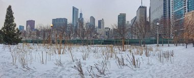 Downtown Chicago kış kasvetli bir gün boyunca