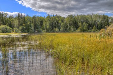 Beyaz Lake Provincial Park Mobert ve White River yakınında bulunan bir isloated parkıdır
