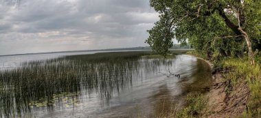 Glendalough State Park savaş Gölü ve Ottertail Gölü, Minnesota yanında yer alır