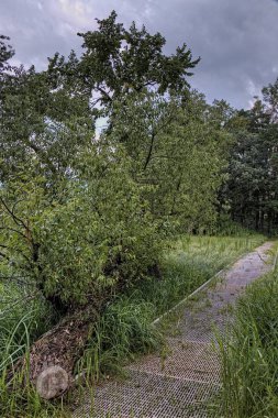 Glendalough State Park savaş Gölü ve Ottertail Gölü, Minnesota yanında yer alır