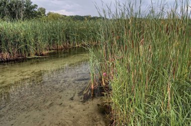 Glendalough State Park savaş Gölü ve Ottertail Gölü, Minnesota yanında yer alır