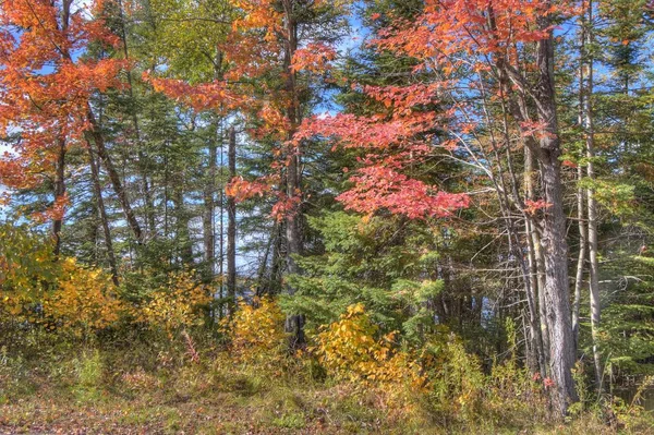 Boulder Lake in het najaar ten noorden van Duluth, Minnesota — Stockfoto