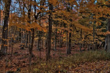 Havari Adaları Ulusal göl kıyısı olan Wisconsin Superior Gölü üzerinde popüler bir turizm