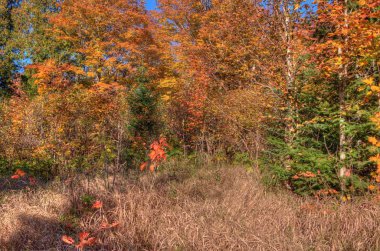Oberg dağ Minnesota kuzey kıyısında Sawtooth aralığı bir parçasıdır