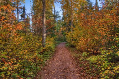 Ouimet Kanyon il parkıdır Kuzey Ontario, Kanada