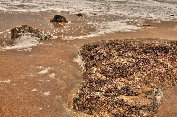 Washington Oaks Garden State Park находится недалеко от Дейтона-Бич, Флорида — стоковое фото