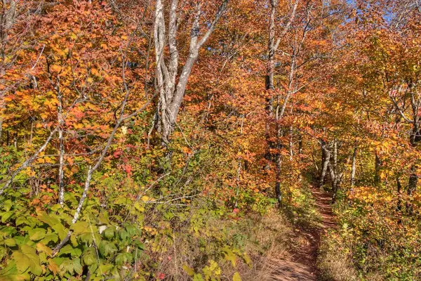 Oberg Mountain maakt deel uit van het bereik van de Sawtooth aan de noordkust in Minnesota — Stockfoto