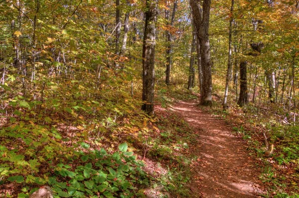 Oberg Mountain fait partie de la chaîne des dents de scie sur la Côte-Nord dans le Minnesota — Photo