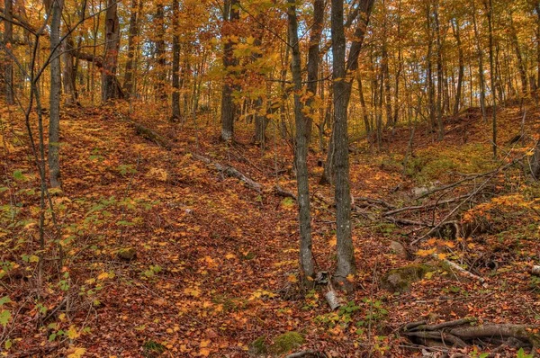 Oberg hora je součástí pohoří Sawtooth na severním pobřeží v Minnesotě — Stock fotografie