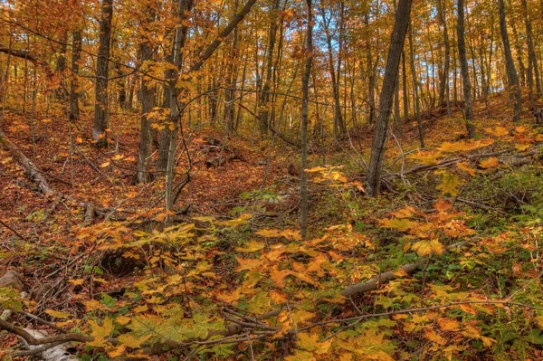 Oberg hora je součástí pohoří Sawtooth na severním pobřeží v Minnesotě — Stock fotografie