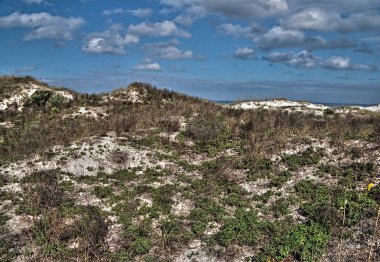 Coast Florida Lighthouse Point devlet parkı olduğunu
