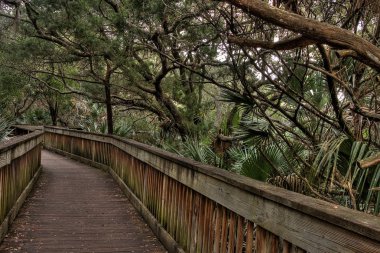 Coast Florida Lighthouse Point devlet parkı olduğunu
