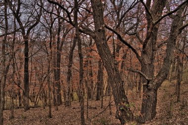 Güney Dakota Sioux Falls tarafından Newton Hills State Park mevcuttur
