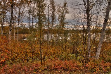 Thunder Bay'de tarafından Kuzey Ontario bir il Park Ouimet Kanyon vardır