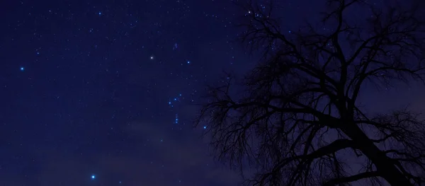 The Night Sky está lleno de constelaciones en el condado de Ottertail en el centro de Minnesota — Foto de Stock