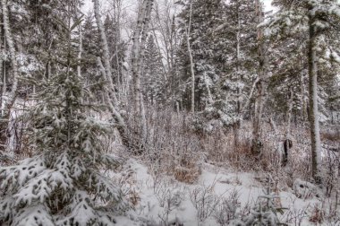 Splitrock deniz feneri popüler bir eyalet parkı sırasında her mevsim olduğunu. 