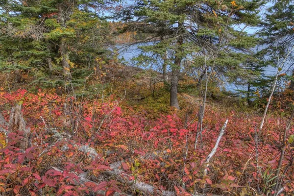 Splitrock maják je populární státní Park během všech ročních období v Minnesotě — Stock fotografie