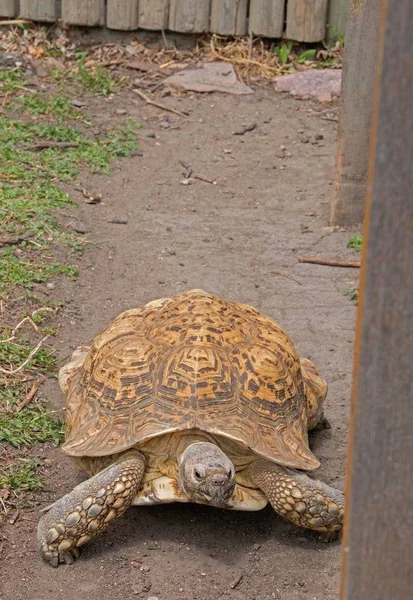 The Great Plains Zoo in Sioux Falls, South Dakota is a family fr