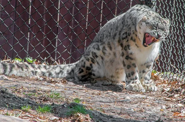 The Great Plains Zoo in Sioux Falls, South Dakota is a family fr