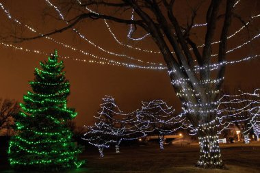 Falls Park Sioux Falls, Güney D büyük bir turistik 's