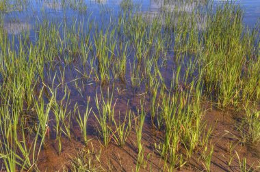 Hibbing, Minnesota açık çukur mayını