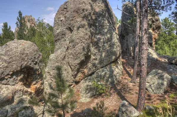 Mt. Rushmore en Dakota del Sur — Foto de Stock