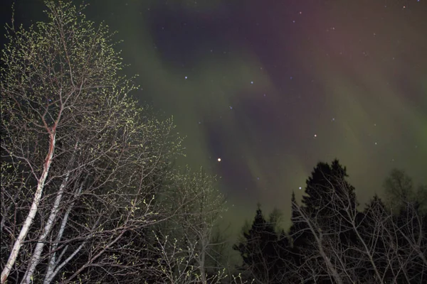 Norrsken över en sjö i Minnesota under sommaren — Stockfoto