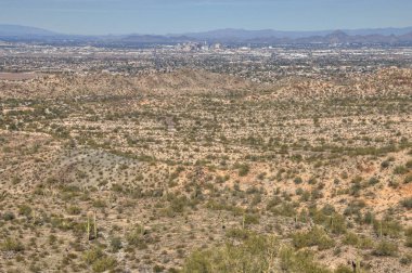 Phoenix manzarası çöl ve kaktüsler çevrilidir