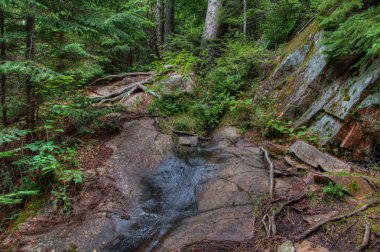 Superior gölünün il Park Kuzey Ontario, Kanada'da gölün kıyısında istiyor