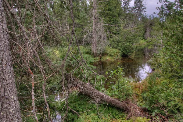 Lake Superior Provincial Park je na břehu jezera v Severní Ontario, Kanada — Stock fotografie