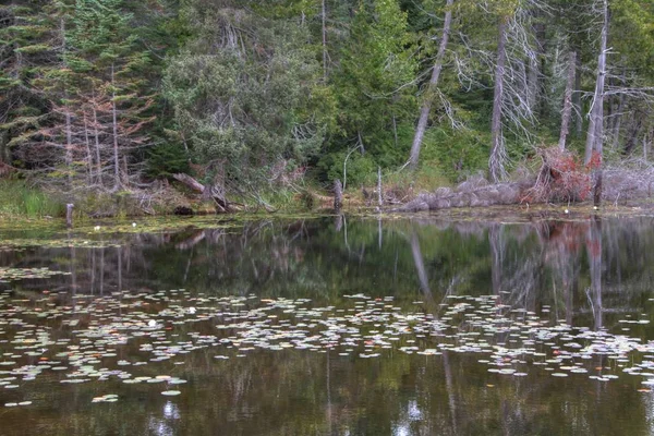 Lake Superior Provincial Park si trova sulla riva del lago nell'Ontario settentrionale, Canada — Foto Stock